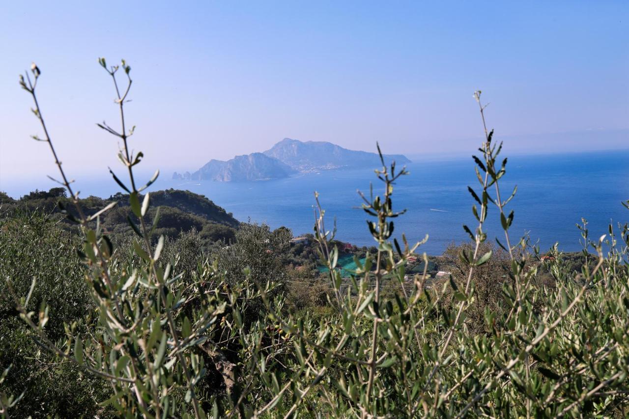 Villa Italia Sorrento Termini Εξωτερικό φωτογραφία