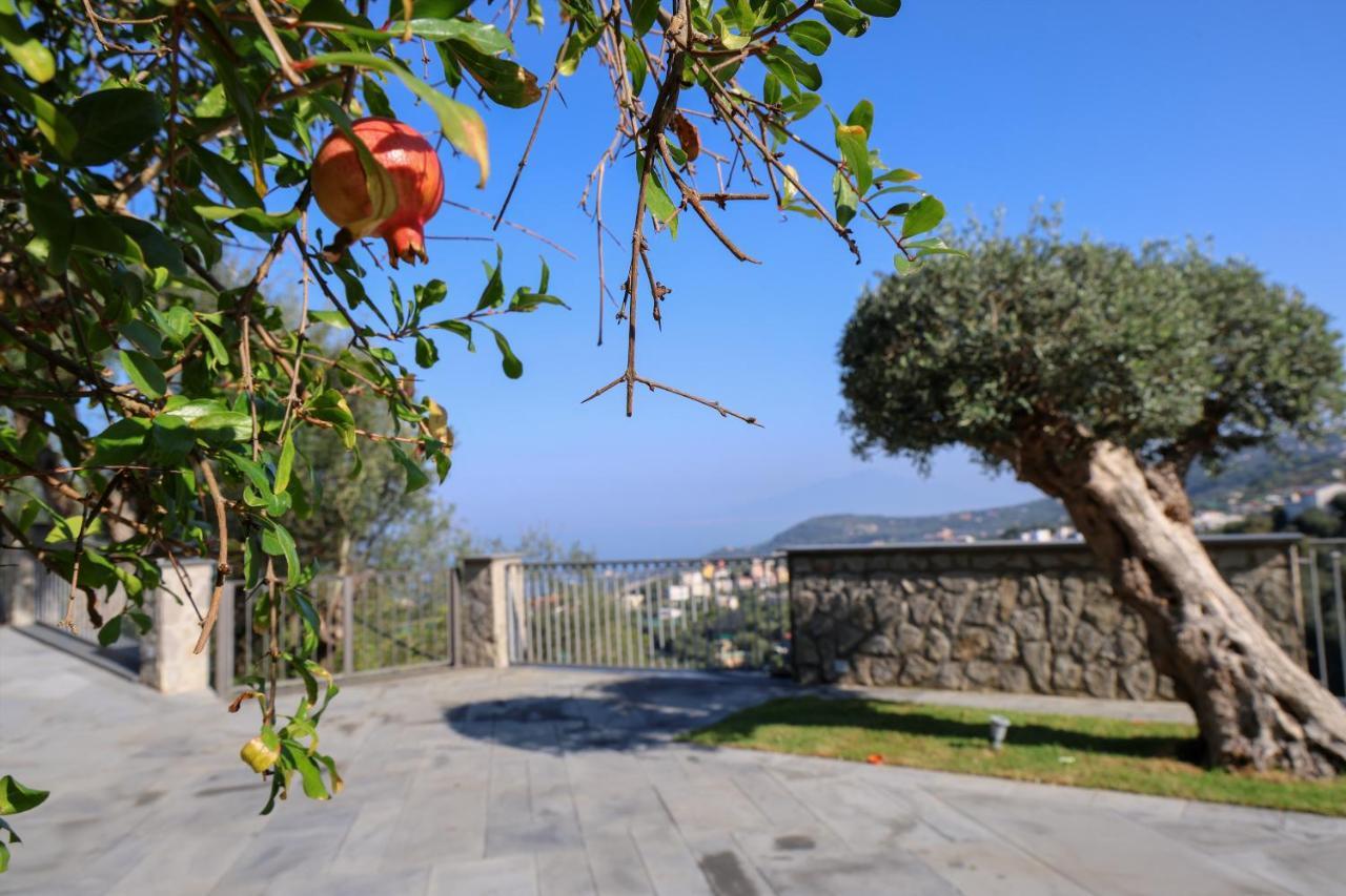 Villa Italia Sorrento Termini Εξωτερικό φωτογραφία